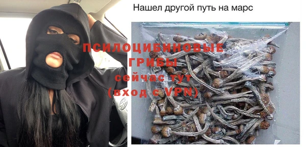 ПСИЛОЦИБИНОВЫЕ ГРИБЫ Балабаново
