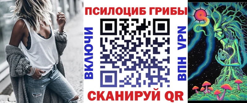 продажа наркотиков  ссылка на мегу ТОР  Псилоцибиновые грибы Magic Shrooms  Буйнакск 